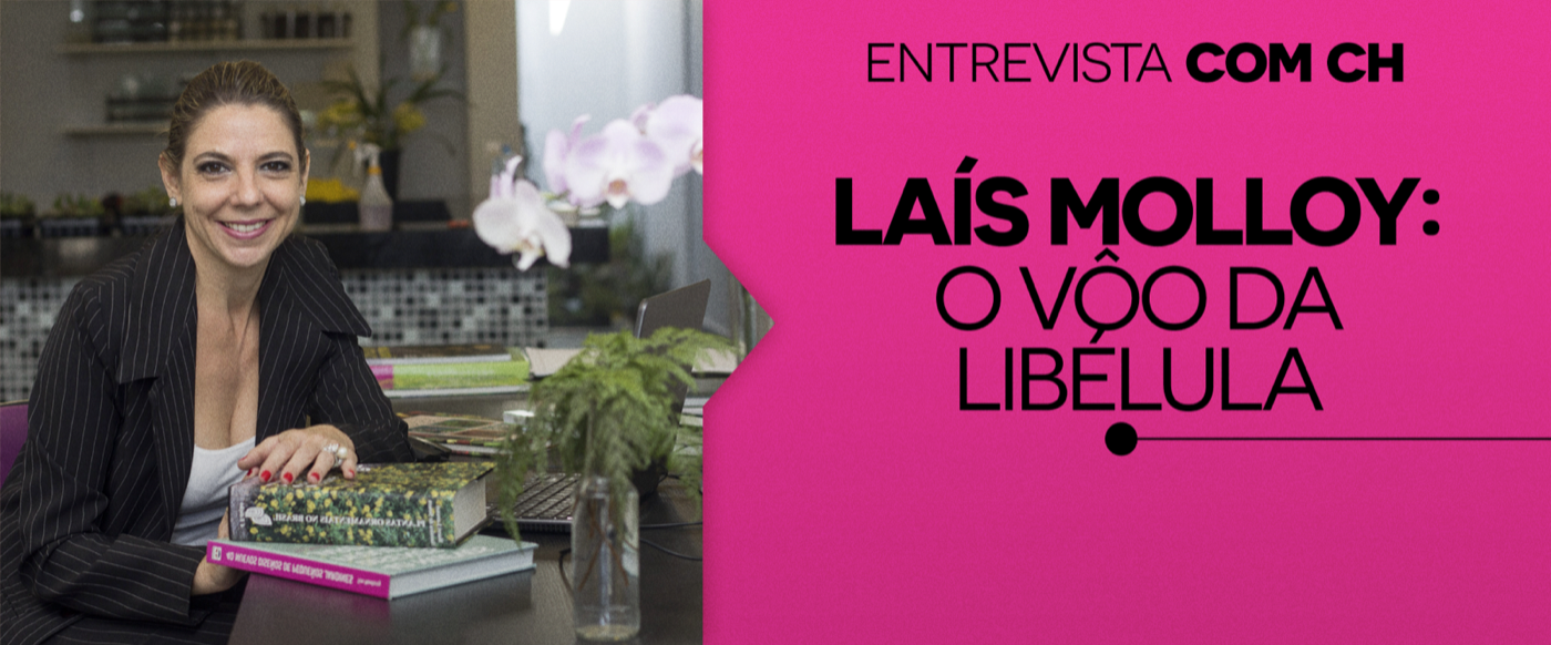 O Vôo da Libélula